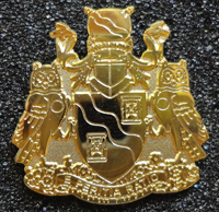 Gold volunteer pin given to Council members