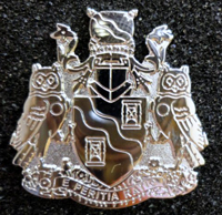 Silver volunteer pin