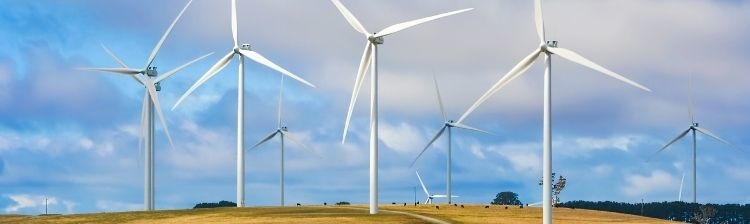 Wind Farm Upholding Standards page